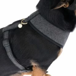 Nomad Tales Calma Tuig, Ebony -Hunter Verkoop 2024 325898 calma fg 7835 1