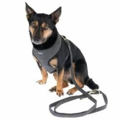 Nomad Tales Calma Tuig, Ebony -Hunter Verkoop 2024 325898 calma fg 7844 5