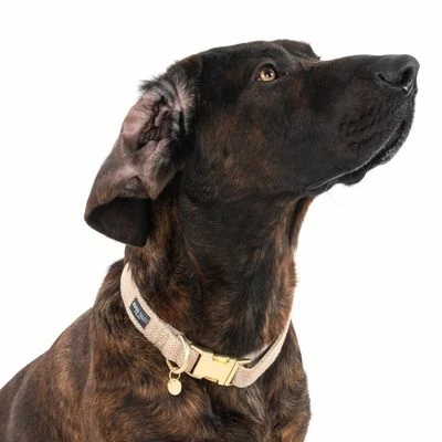 Nomad Tales Calma Halsband, Sand 4 Nomad Tales Calma Halsband, Sand - Afbeelding 2