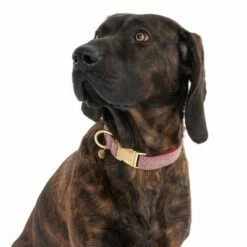 Nomad Tales Calma Halsband, Burgundy -Hunter Verkoop 2024 325904 calma l burgundy fg 7942 5