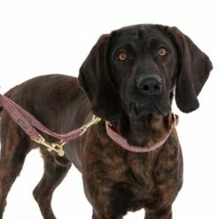 Nomad Tales Calma Halsband, Burgundy -Hunter Verkoop 2024 325904 calma l burgundy fg 7951 1