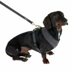 Nomad Tales Calma Hondenriem, Ebony -Hunter Verkoop 2024 325996 325901 calma m fg 7270 7