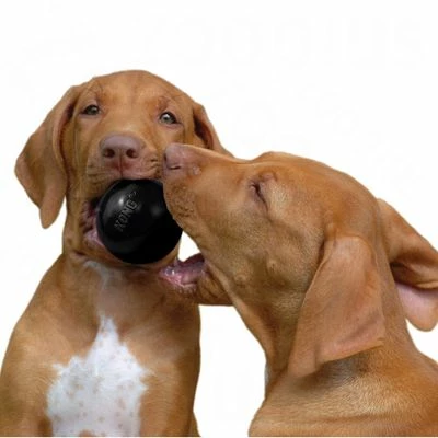 KONG Extreme Ball 6 KONG Extreme Ball - Afbeelding 4