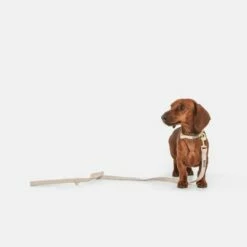 Nomad Tales Calma Halsband, Sand 29 Nomad Tales Calma Halsband, Sand -Hunter Verkoop 2024 326198 326096 nomad tales calma halsband ebony 02 9