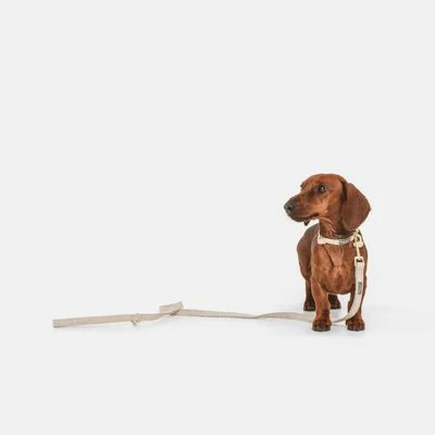 Nomad Tales Calma Halsband, Sand 13 Nomad Tales Calma Halsband, Sand - Afbeelding 11