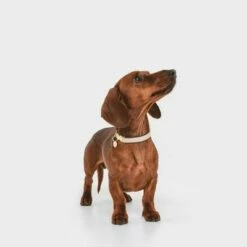 Nomad Tales Calma Halsband, Sand 21 Nomad Tales Calma Halsband, Sand -Hunter Verkoop 2024 326198 326096 nomad tales calma halsband ebony 04 1