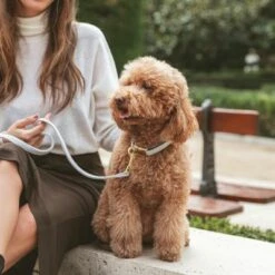 Nomad Tales Calma Halsband, Stone -Hunter Verkoop 2024 326806 326197 nomad tales calma halsband stone 03 5