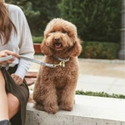 Nomad Tales Calma Halsband, Stone -Hunter Verkoop 2024 326806 326197 nomad tales calma halsband stone 04 2