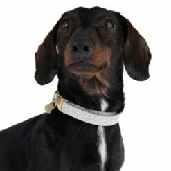 Nomad Tales Calma Halsband, Stone -Hunter Verkoop 2024 326807 calma m fg 7321 6