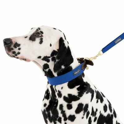 Hondenriem Nomad Tales Bloom, Sapphire 12 Hondenriem Nomad Tales Bloom, Sapphire - Afbeelding 10