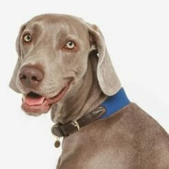 Nomad Tales Bloom Halsband, Sapphire -Hunter Verkoop 2024 327096 nomad tales bloom halsband sapphire 02 2