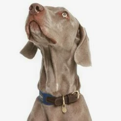 Nomad Tales Bloom Halsband, Sapphire -Hunter Verkoop 2024 327096 nomad tales bloom halsband sapphire 03 5