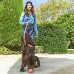 Nomad Tales Bloom Leine, Coral 25 Nomad Tales Bloom Leine, Coral -Hunter Verkoop 2024 328200 nt bloom leine coral 4