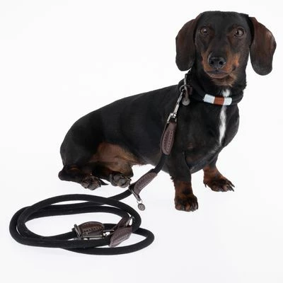 Nomad Tales Spirit Halsband, Ebony 14 Nomad Tales Spirit Halsband, Ebony - Afbeelding 12