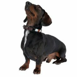 Nomad Tales Spirit Halsband, Ebony 20 Nomad Tales Spirit Halsband, Ebony -Hunter Verkoop 2024 329001 spirit xs fg 7711 1