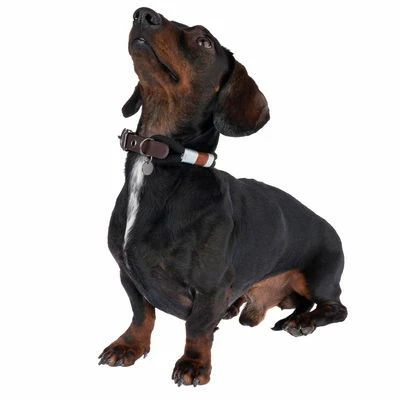 Nomad Tales Spirit Halsband, Ebony 5 Nomad Tales Spirit Halsband, Ebony - Afbeelding 3