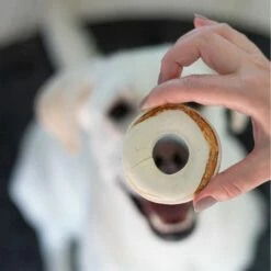 8in1 Delights Kauwringen -Hunter Verkoop 2024 32957 8in1 delights kauringe huhn detail mood 6