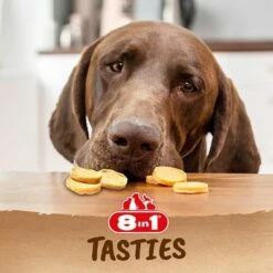 8in1 Tasties Kippenchips -Hunter Verkoop 2024 330796 tetra 8in1 tasties huehnerchips 85g hs 06 1