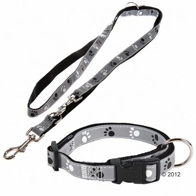 Trixie Set: Halsband Poten Zilver Reflect + Hondenlijn 4 Trixie Set: Halsband Poten Zilver Reflect + Hondenlijn - Afbeelding 2