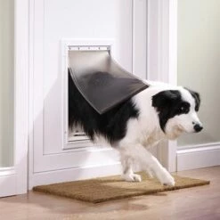 PetSafe Hondenluik -Hunter Verkoop 2024 33431 petsafe hundeklappestaywell640 hs 02 4