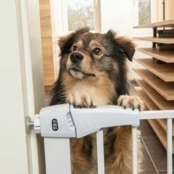 TIAKI Wit Hondenrek Met Verlengstuk Van 7 Cm -Hunter Verkoop 2024 334597 tiaki dog gate white fg 8198 1