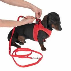 TIAKI Tuigje Wave Vest, Rood -Hunter Verkoop 2024 338698 tiaki wave vest m fg 8947 3