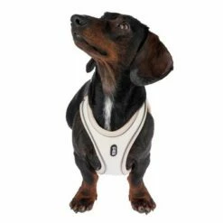 TIAKI Harnas Wave Vest, Beige -Hunter Verkoop 2024 338700 tiaki wave vest m fg 8978 9