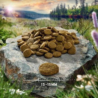 Purizon Single Meat Adult Zalm Met Spinazie Hondenvoer 4 Purizon Single Meat Adult Zalm Met Spinazie Hondenvoer - Afbeelding 2