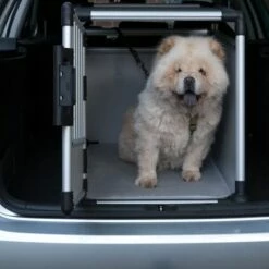 Trixie Transportbox Aluminium -Hunter Verkoop 2024 42815 trixie transportbox alu fg 3618 0