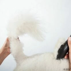 Schermaschine Moser Max50 -Hunter Verkoop 2024 465281 schermaschine moser max 50 02 0