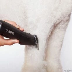 Schermaschine Moser Max50 -Hunter Verkoop 2024 465281 schermaschine moser max 50 04 0