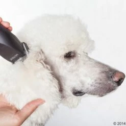 Schermaschine Moser Max50 -Hunter Verkoop 2024 465281 schermaschine moser max 50 05 4