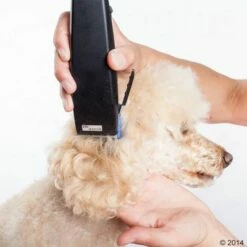 Tondeuse Moser Rex -Hunter Verkoop 2024 465375 schermaschine moser rex 03 5