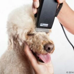 Tondeuse Moser Rex -Hunter Verkoop 2024 465375 schermaschine moser rex 04 0