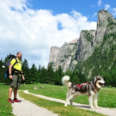 NEEWA Bungee Lijn 7 NEEWA Bungee Lijn - Afbeelding 5