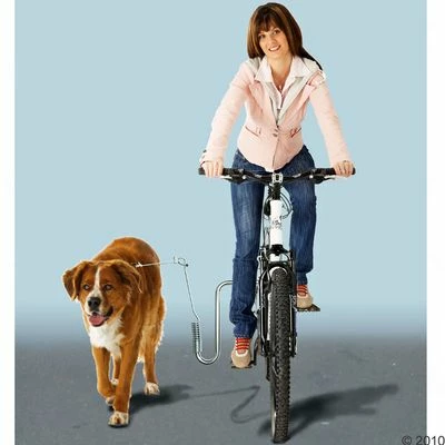 Metalen Fietshouder Voor Hondenlijn 5 Metalen Fietshouder Voor Hondenlijn - Afbeelding 3