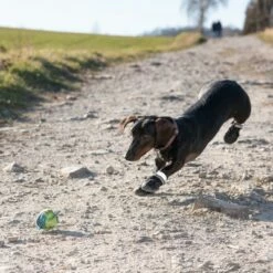 Hondenschoen S & P Boots -Hunter Verkoop 2024 52149 hundeschuhe xs fg 0967 9