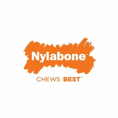 Nylabone Bullenpees Alternatief Met Rundsmaak 7 Nylabone Bullenpees Alternatief Met Rundsmaak - Afbeelding 5