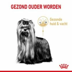 Royal Canin Breed Yorkshire Terrier Adult 8+ Hondenvoer -Hunter Verkoop 2024 5 new project 7
