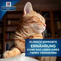 Hill´s Prescription Diet D/D Allergy & Skin Care Kattenvoer Met Eend En Groene Erwten -Hunter Verkoop 2024 5 pd ecommerce thumbnails transforming lives de 8
