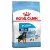 Royal Canin Maxi Puppy Hondenvoer 1 Royal Canin Maxi Puppy Hondenvoer -Hunter Verkoop 2024 61090 pla rc maxi puppy 7 1