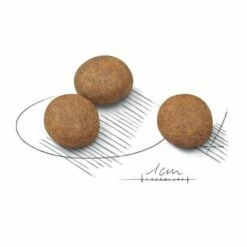 Royal Canin Maxi Puppy Hondenvoer -Hunter Verkoop 2024 61090 rc maxi puppy kibbles 7