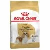 Royal Canin Cavalier King Charles Adult Hondenvoer -Hunter Verkoop 2024 61124 pla royalcanin adulthund cavalier 2