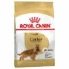 Royal Canin Cocker Spaniel Adult Hondenvoer -Hunter Verkoop 2024 61129 pla royalcanin adulthund cocker 6