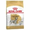 Royal Canin Dalmatian Adult Hondenvoer 1 Royal Canin Dalmatian Adult Hondenvoer -Hunter Verkoop 2024 61132 pla royalcanin adulthund dalmatian 8