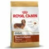 Royal Canin Teckel Adult Hondenvoer 1 Royal Canin Teckel Adult Hondenvoer -Hunter Verkoop 2024 61135 PLA rgb Royal Canin Breed Dachshund Adult 7 5kg 6