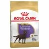 Royal Canin Sterilised Labrador Retriever Adult Hondenvoer -Hunter Verkoop 2024 61153 pla royalcanin adulthund labradotsterilised 6