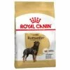 Royal Canin Rottweiler Adult Hondenvoer -Hunter Verkoop 2024 61166 pla royalcanin adulthund rottweiler 7