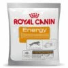 Royal Canin Energy Beloningssnack -Hunter Verkoop 2024 61182 PLA rgb Royal Canin Energy Belohnungssnack 50g 6 6