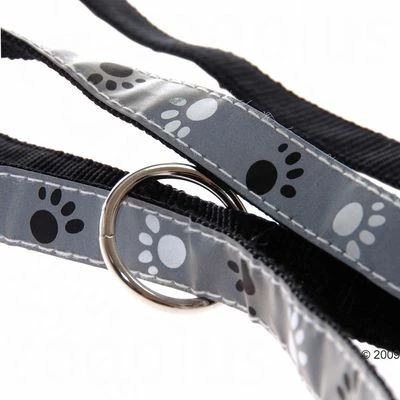 Trixie Set: Halsband Poten Zilver Reflect + Hondenlijn 10 Trixie Set: Halsband Poten Zilver Reflect + Hondenlijn - Afbeelding 8